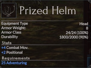 Prized helm.jpg