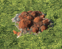 NewhavenCopper1.png