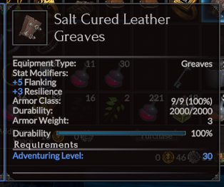 Salt Cured Leather Greaves.png