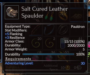 Salt Cured Leather Spaulder.png