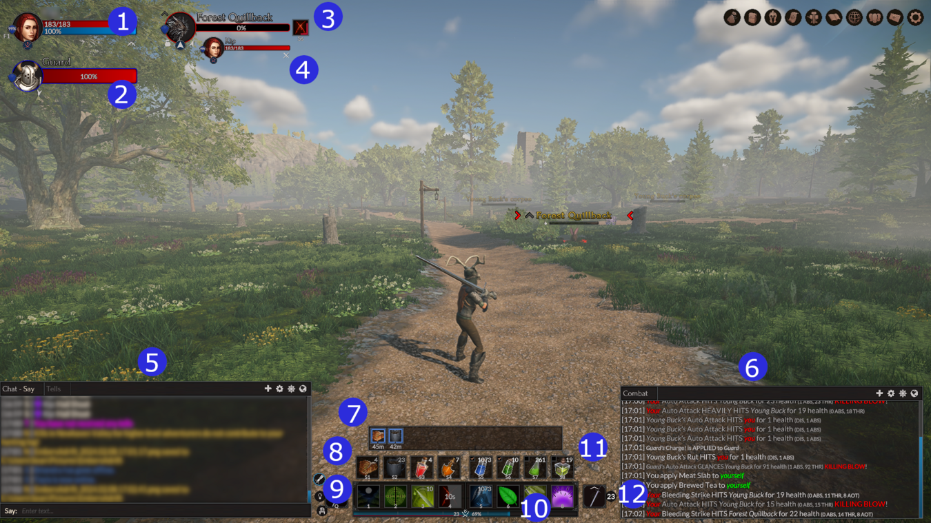 Controls and ui drifter s wiki