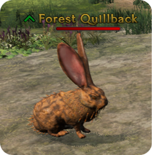 ForestQuillback-mod.png